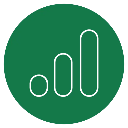data icon